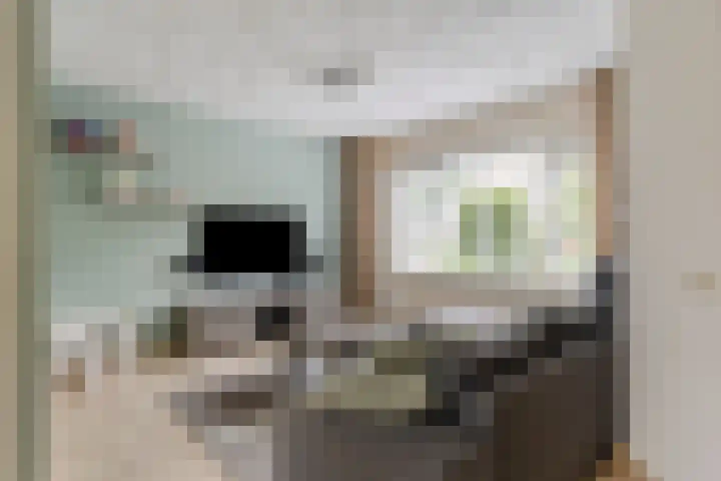 Grasklokje 63 Best thumbnail 9