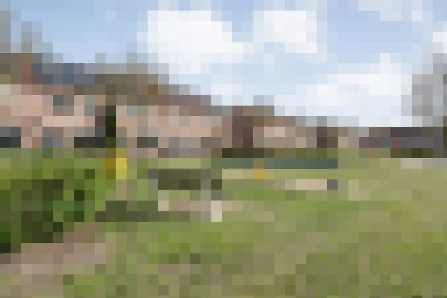 Grasklokje 68 Hardenberg thumbnail 10