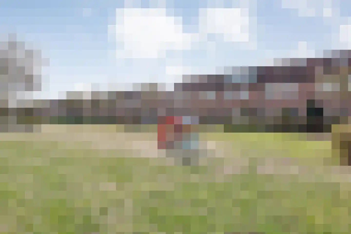 Grasklokje 68 Hardenberg thumbnail 11