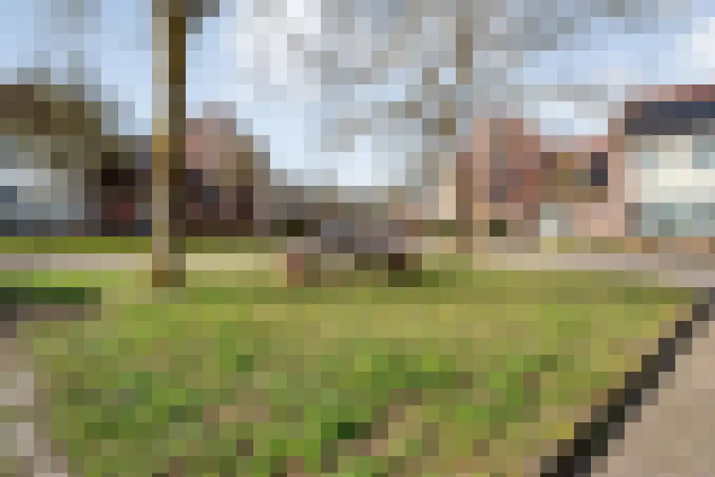 Grasklokje 68 Hardenberg thumbnail 12