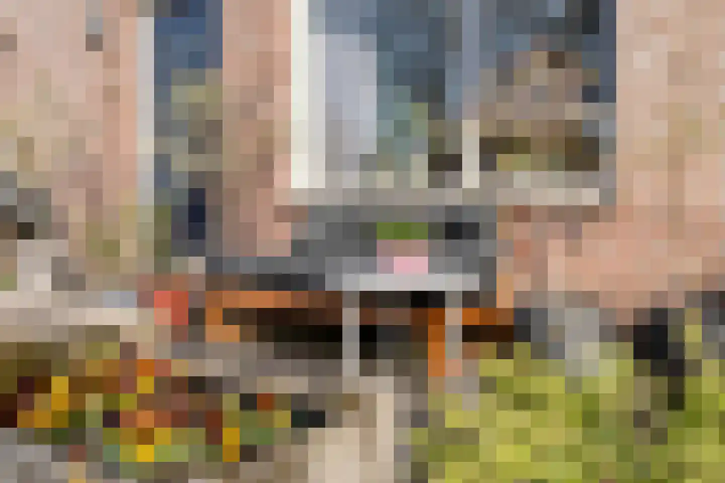 Grasklokje 68 Hardenberg thumbnail 15