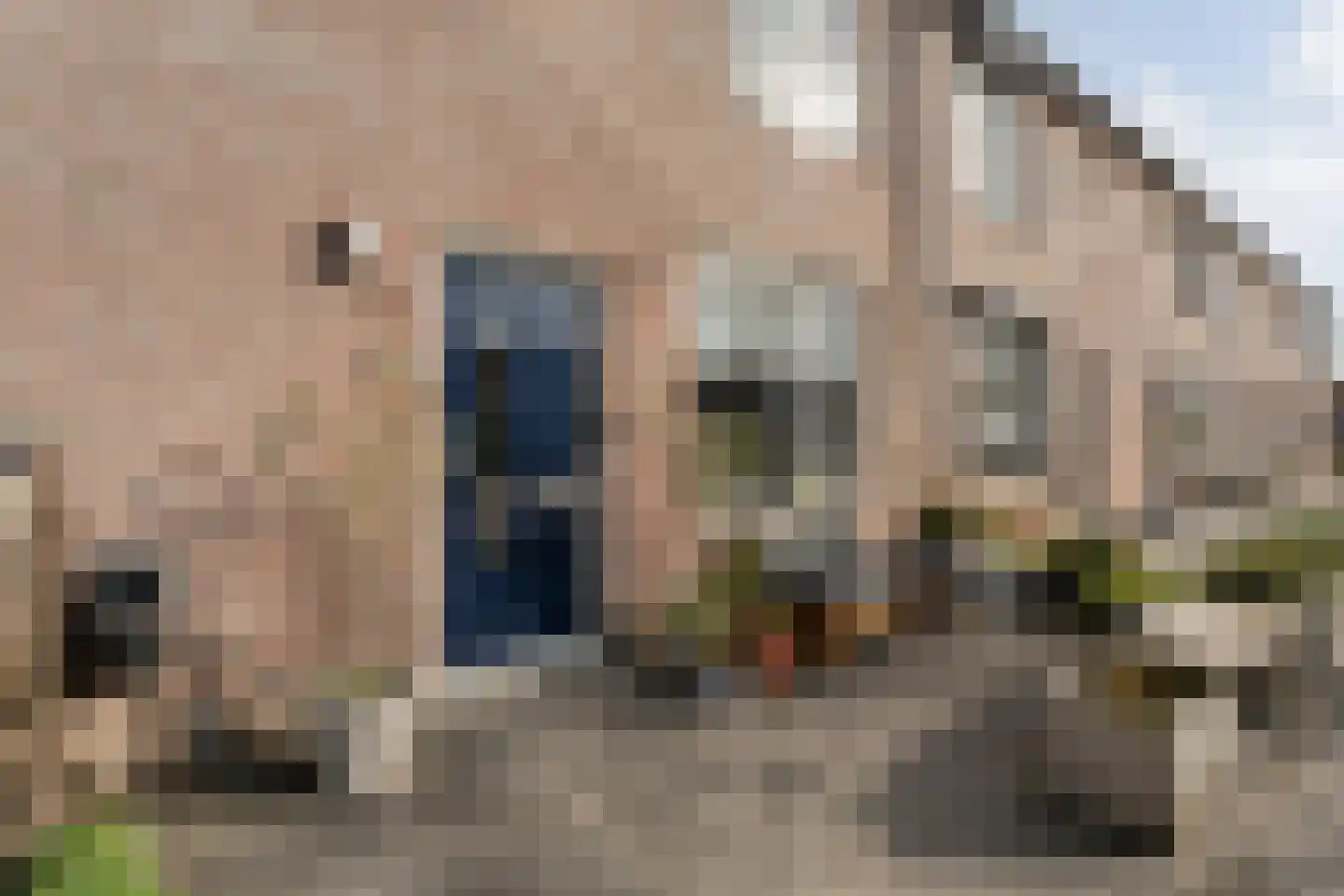 Grasklokje 68 Hardenberg thumbnail 16