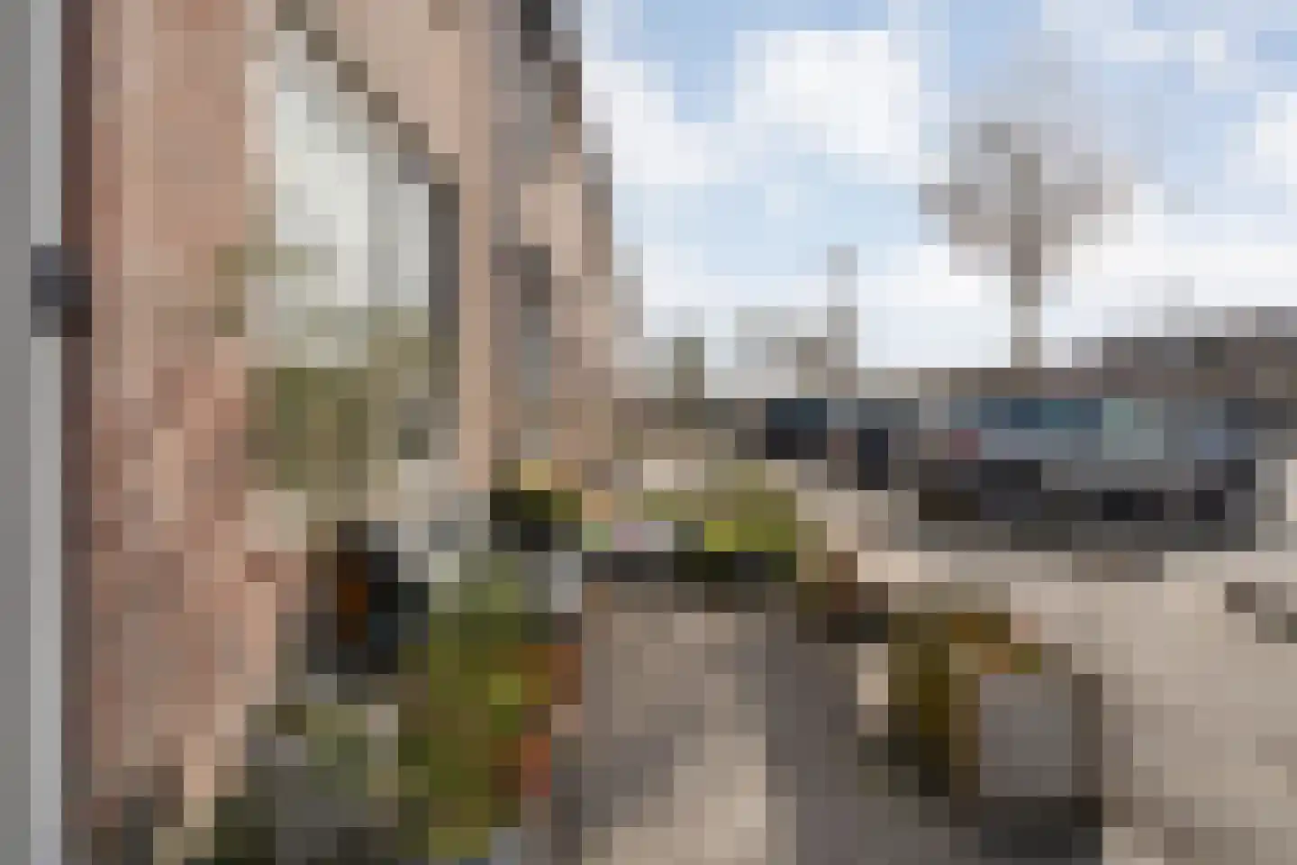 Grasklokje 68 Hardenberg thumbnail 17