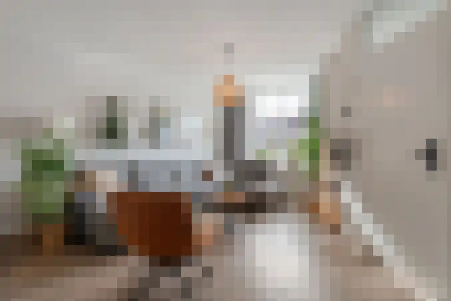 Grasklokje 68 Hardenberg thumbnail 21