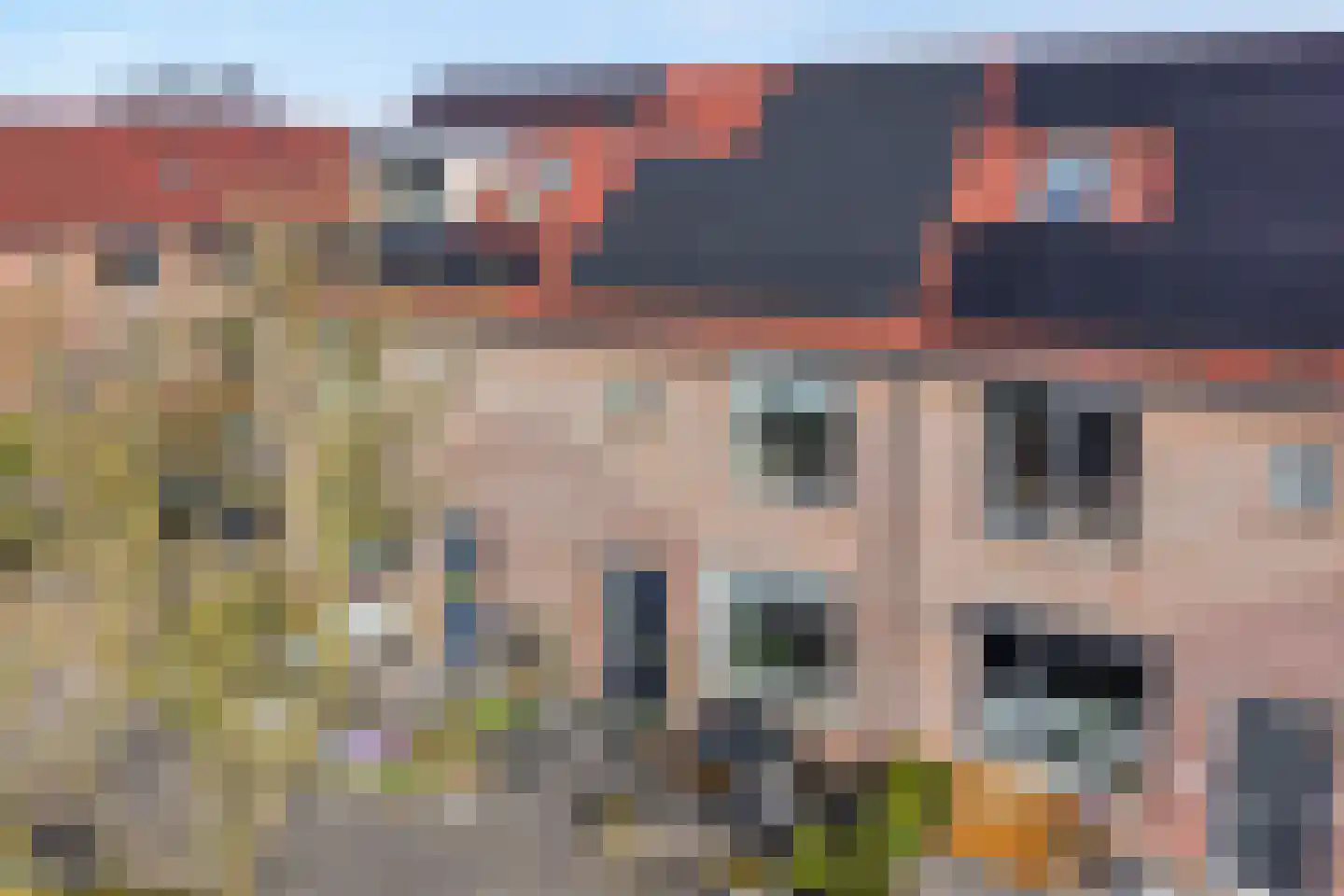 Grasklokje 68 Hardenberg thumbnail 4