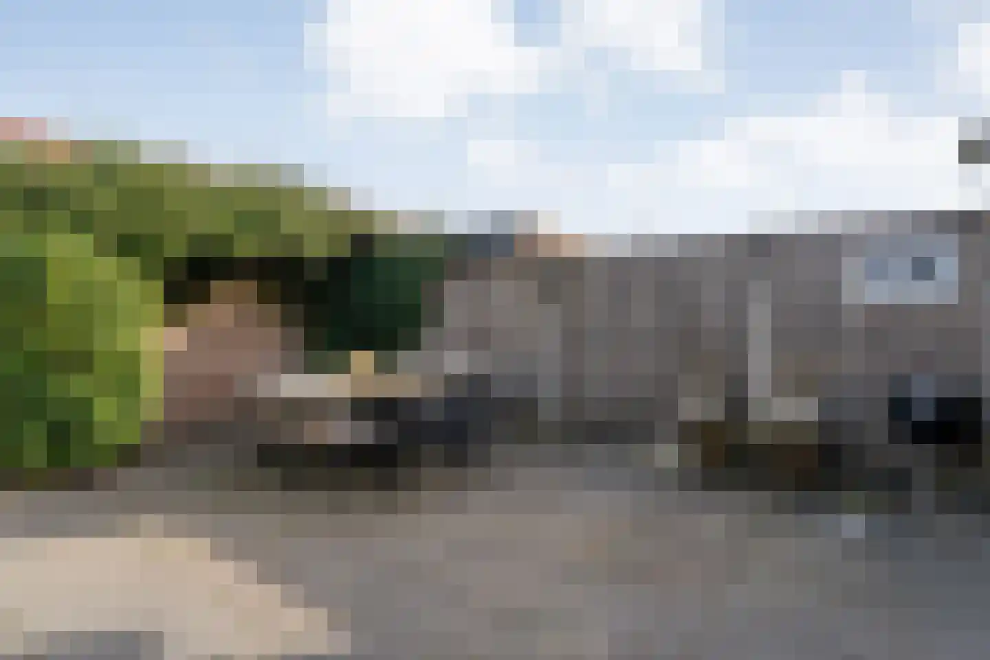 Grasklokje 68 Hardenberg thumbnail 55