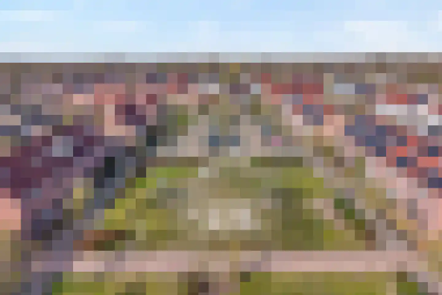 Grasklokje 68 Hardenberg thumbnail 8