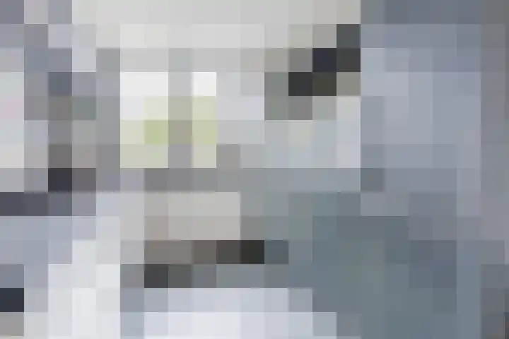 Grasklokje 7 Best thumbnail 15