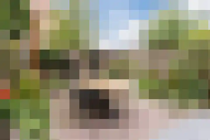 Grasklokje 7 Best thumbnail 34