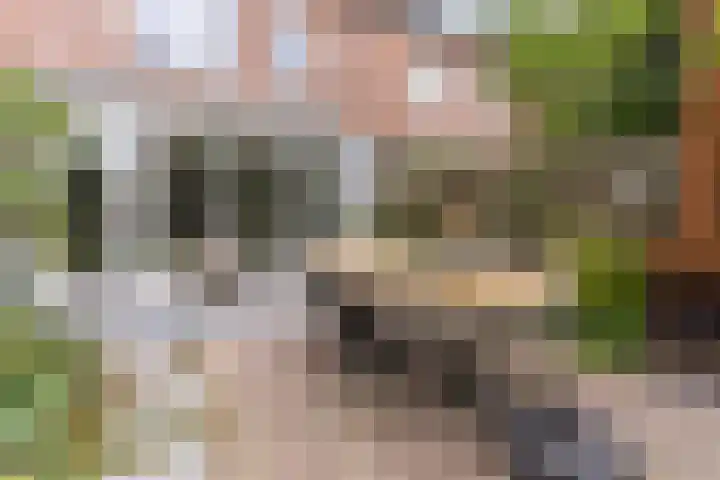 Grasklokje 7 Best thumbnail 35