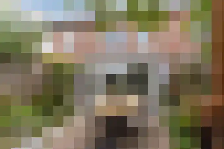 Grasklokje 7 Best thumbnail 37
