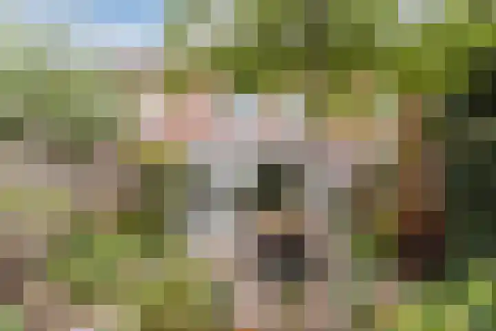Grasklokje 7 Best thumbnail 38