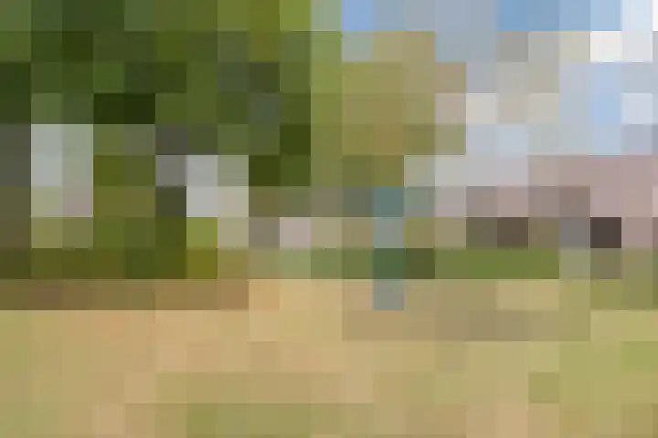 Grasklokje 7 Best thumbnail 39