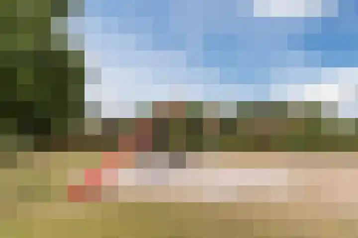 Grasklokje 7 Best thumbnail 40