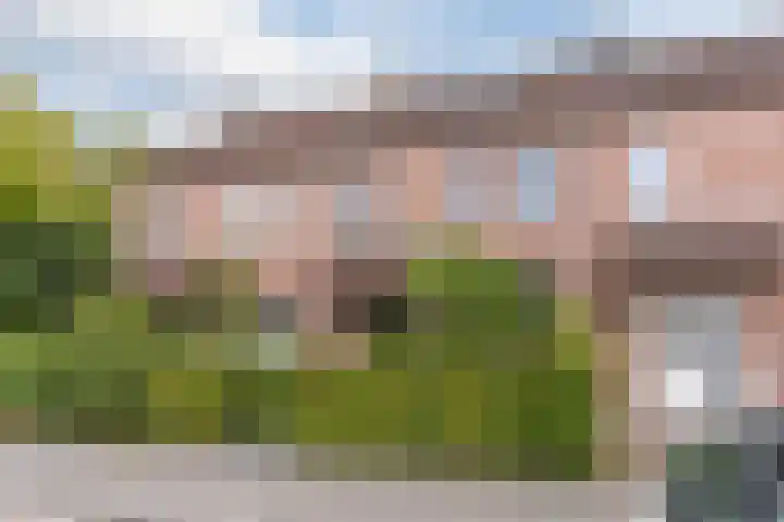 Grasklokje 7 Best thumbnail 6