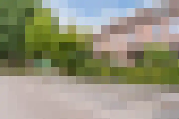 Grasklokje 7 Best thumbnail 7