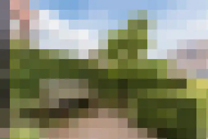 Grasklokje 7 Best thumbnail 9