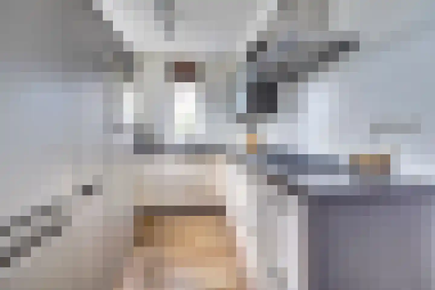 Grasklokje 72 Best thumbnail 16