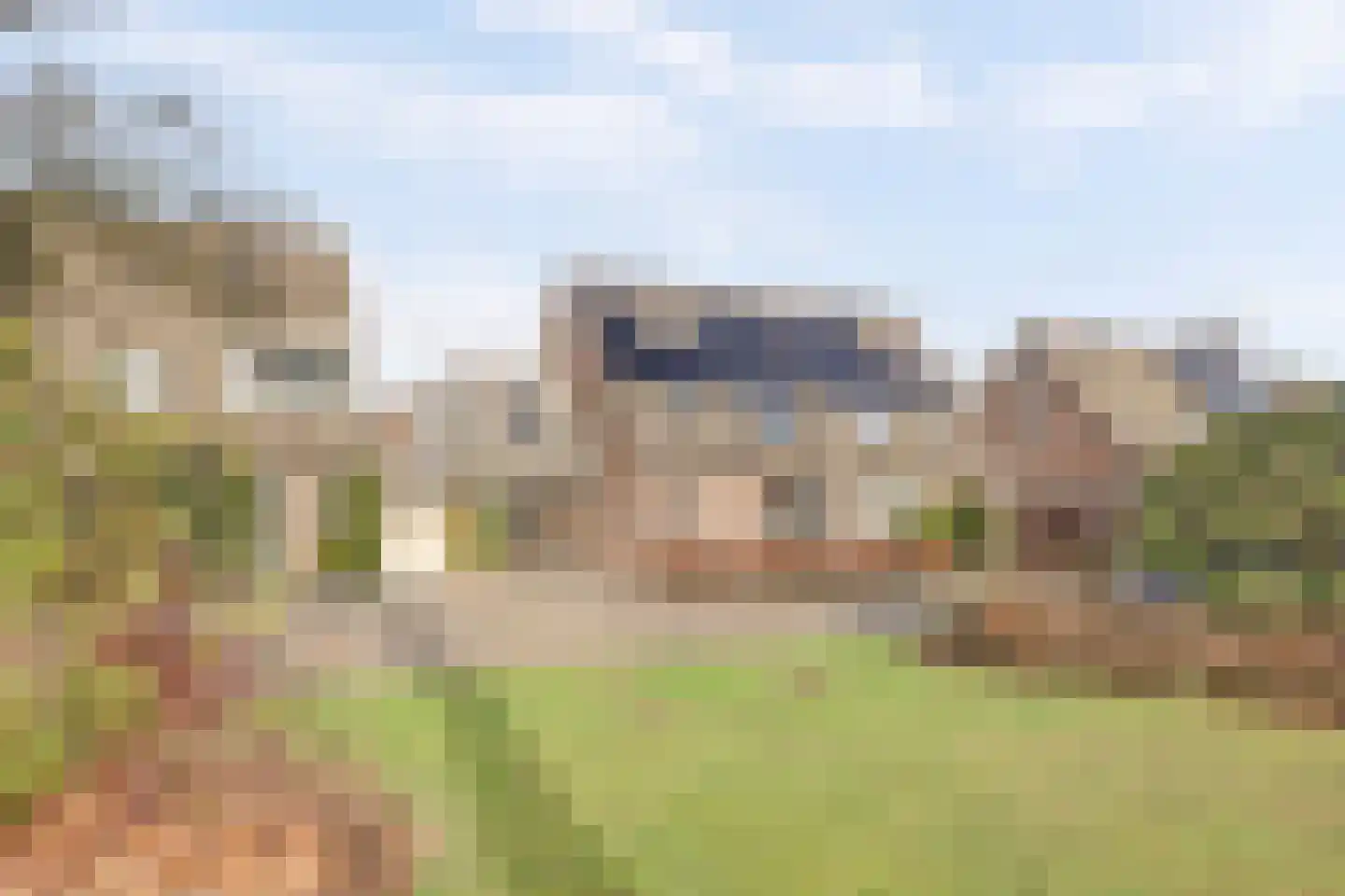 Grasklokje 72 Best thumbnail 47