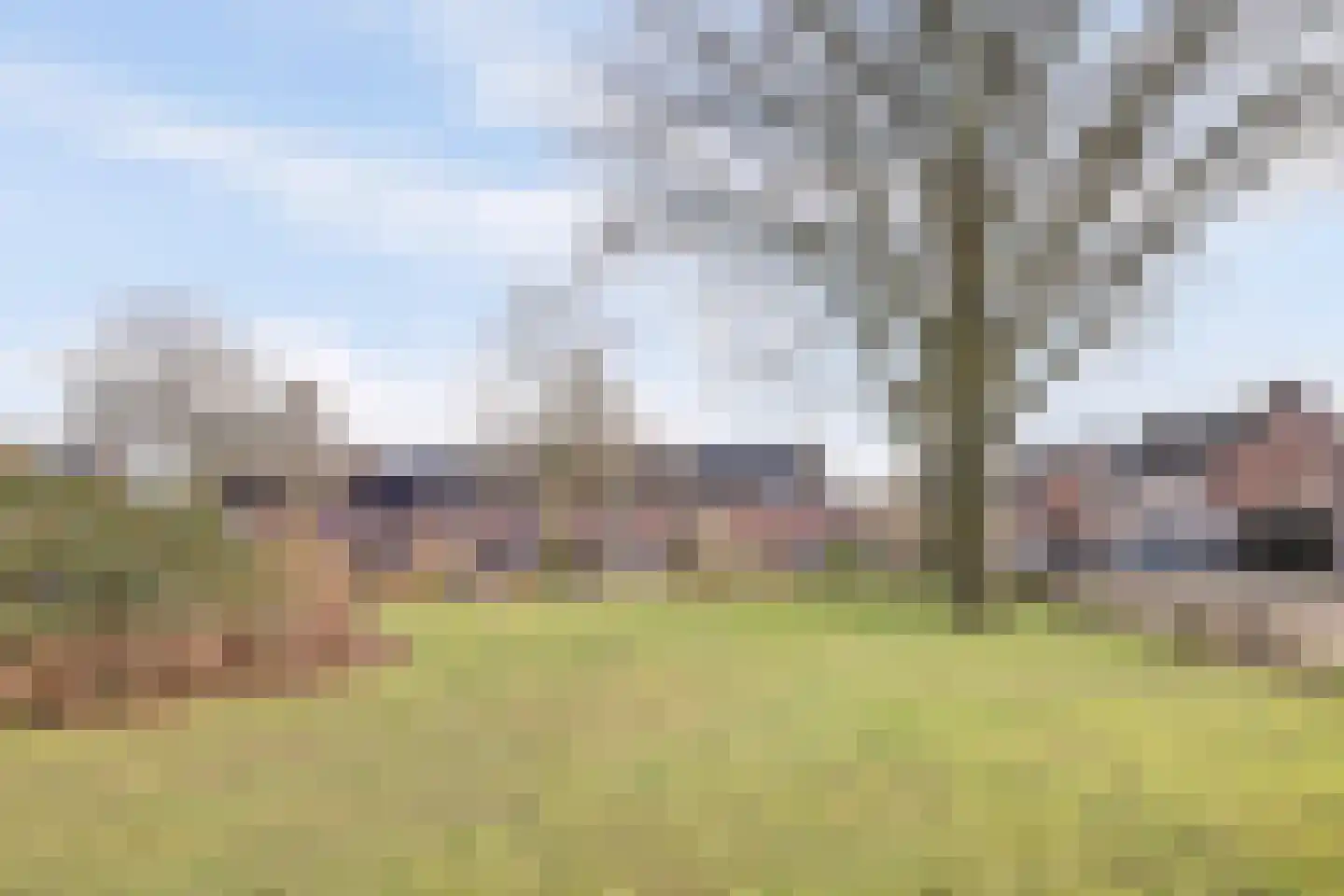 Grasklokje 72 Best thumbnail 48