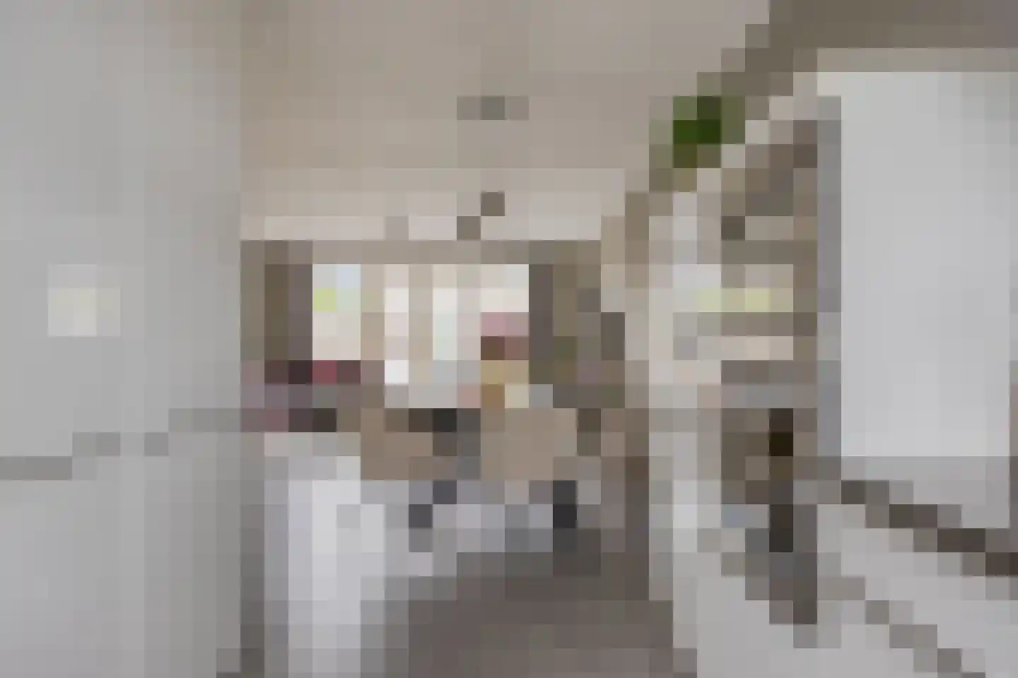 Grasklokje 8 Herveld thumbnail 25