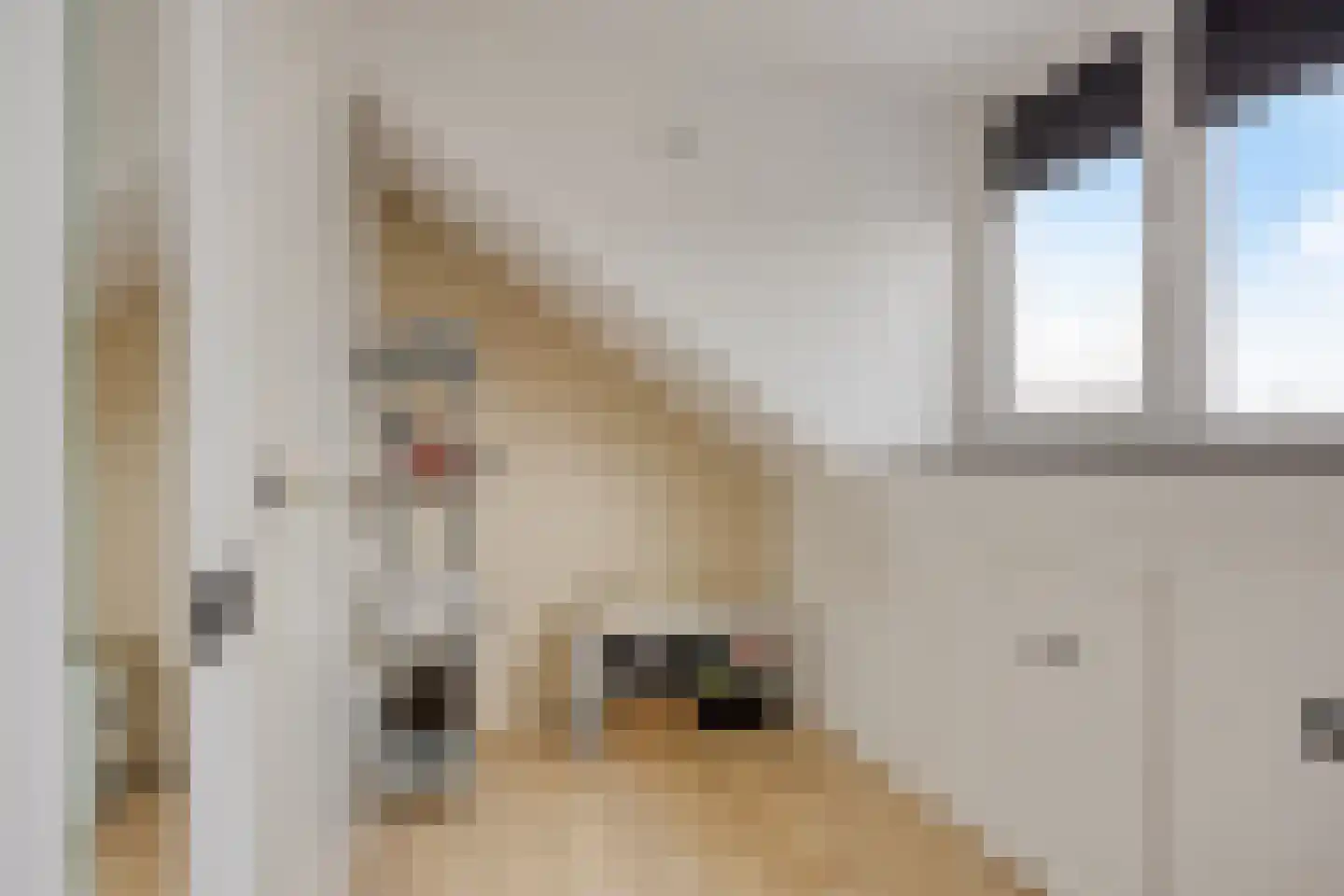 Grasklokje 8 Herveld thumbnail 47
