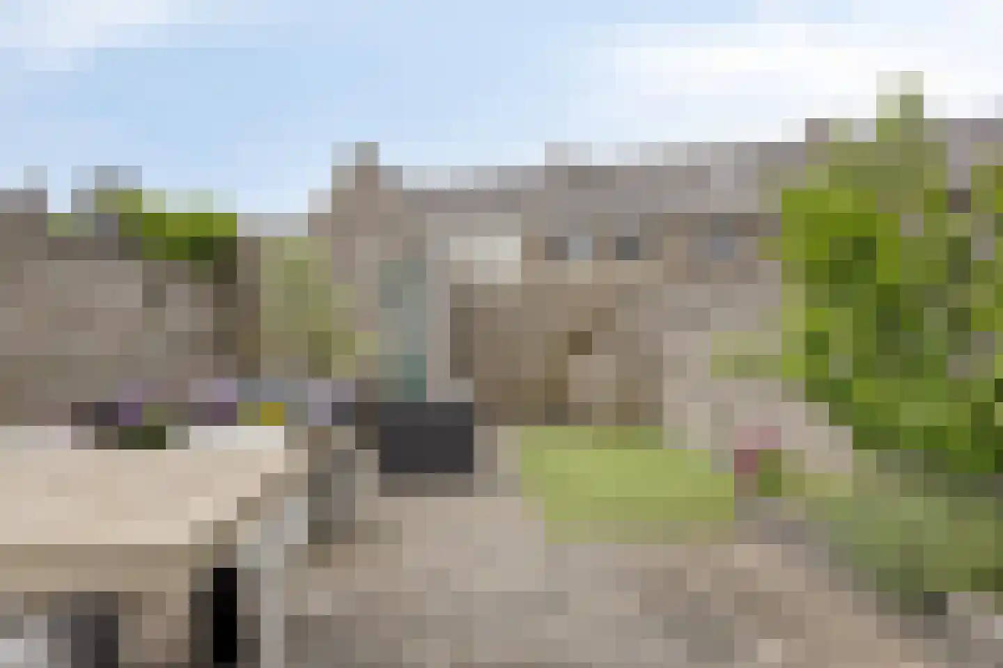Grasklokje 8 Herveld thumbnail 48