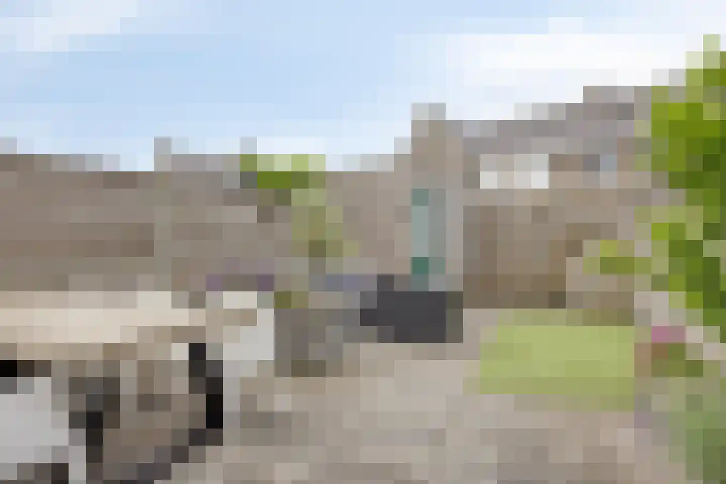 Grasklokje 8 Herveld thumbnail 49