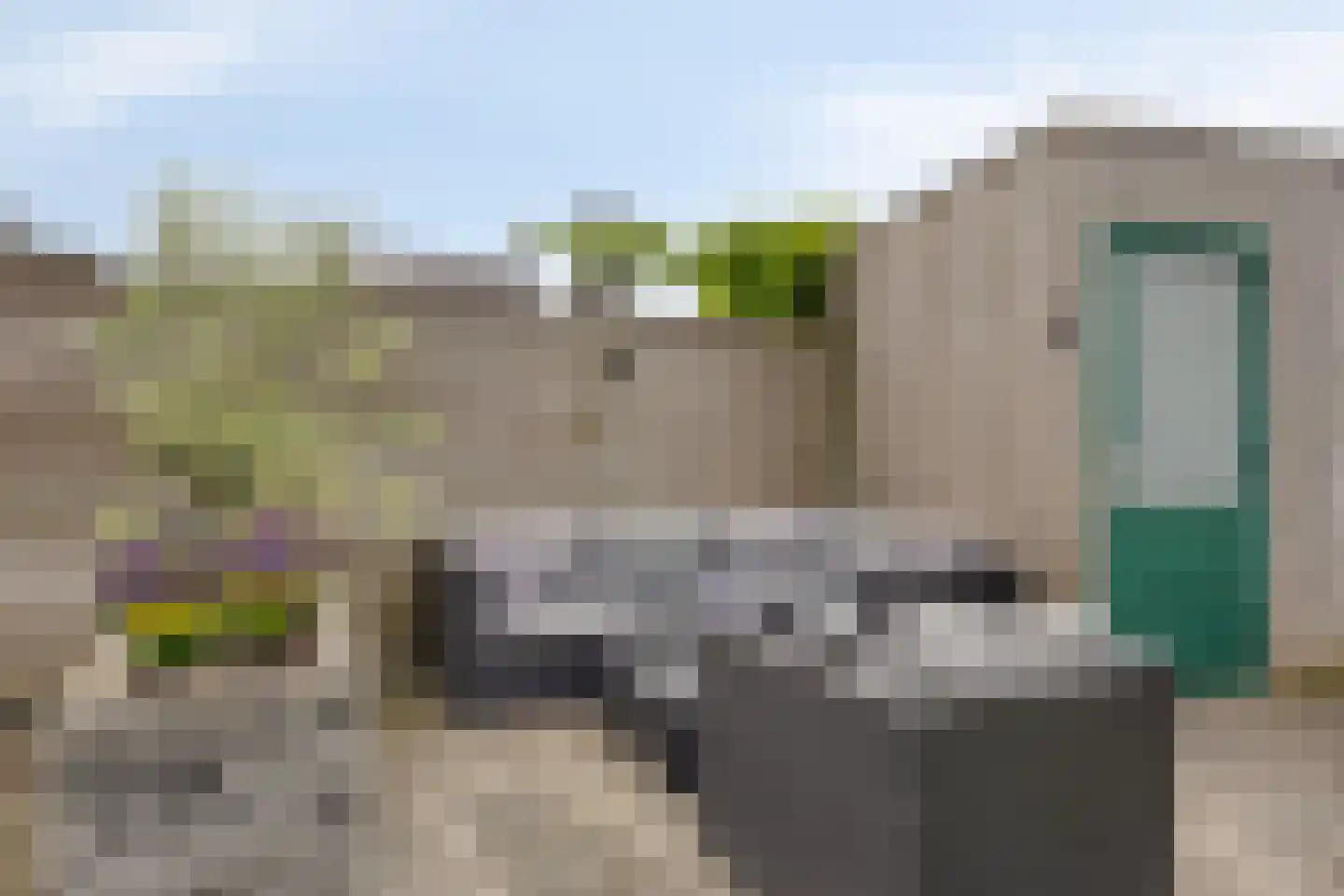 Grasklokje 8 Herveld thumbnail 49