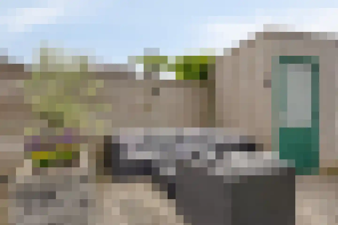 Grasklokje 8 Herveld thumbnail 51
