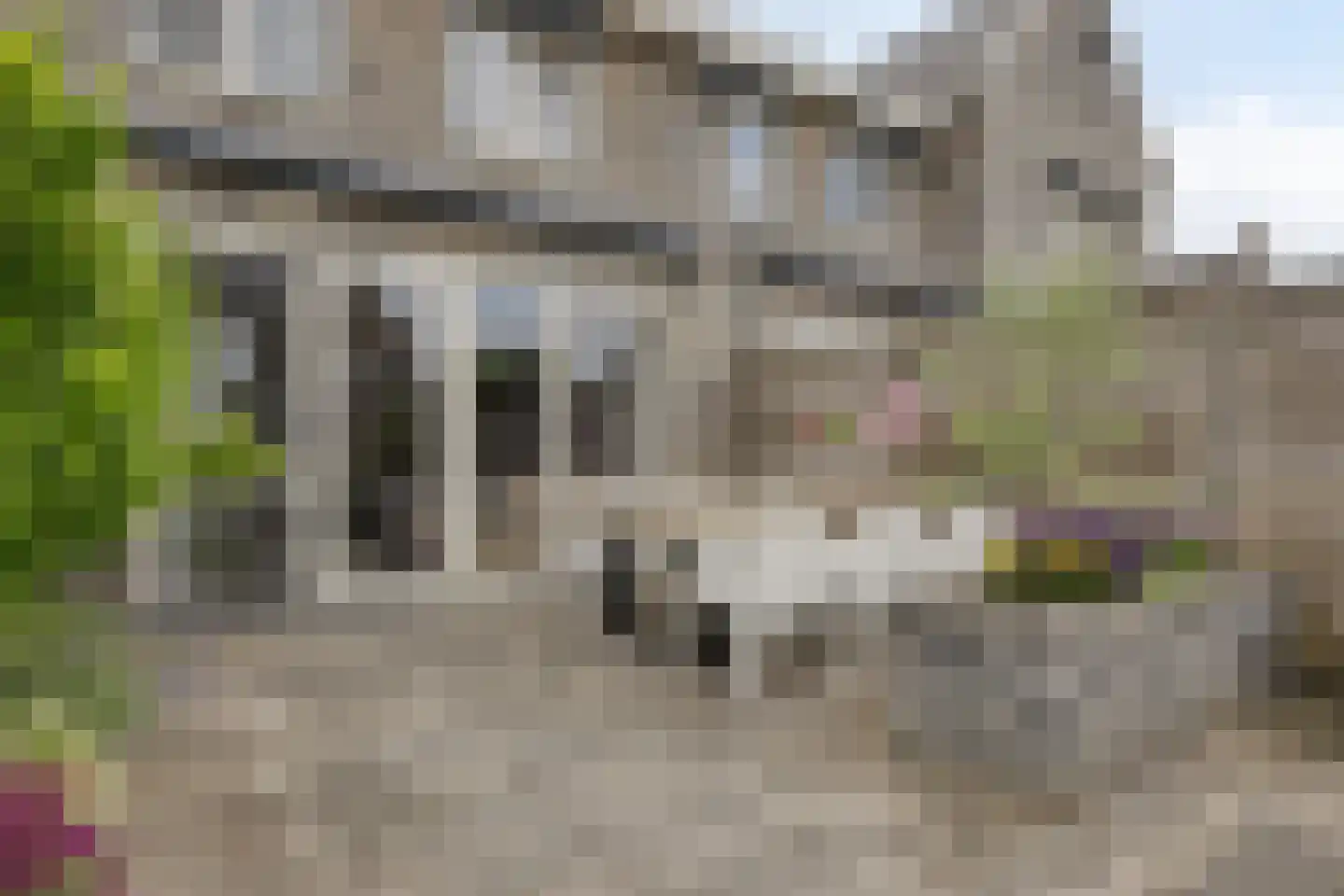 Grasklokje 8 Herveld thumbnail 53