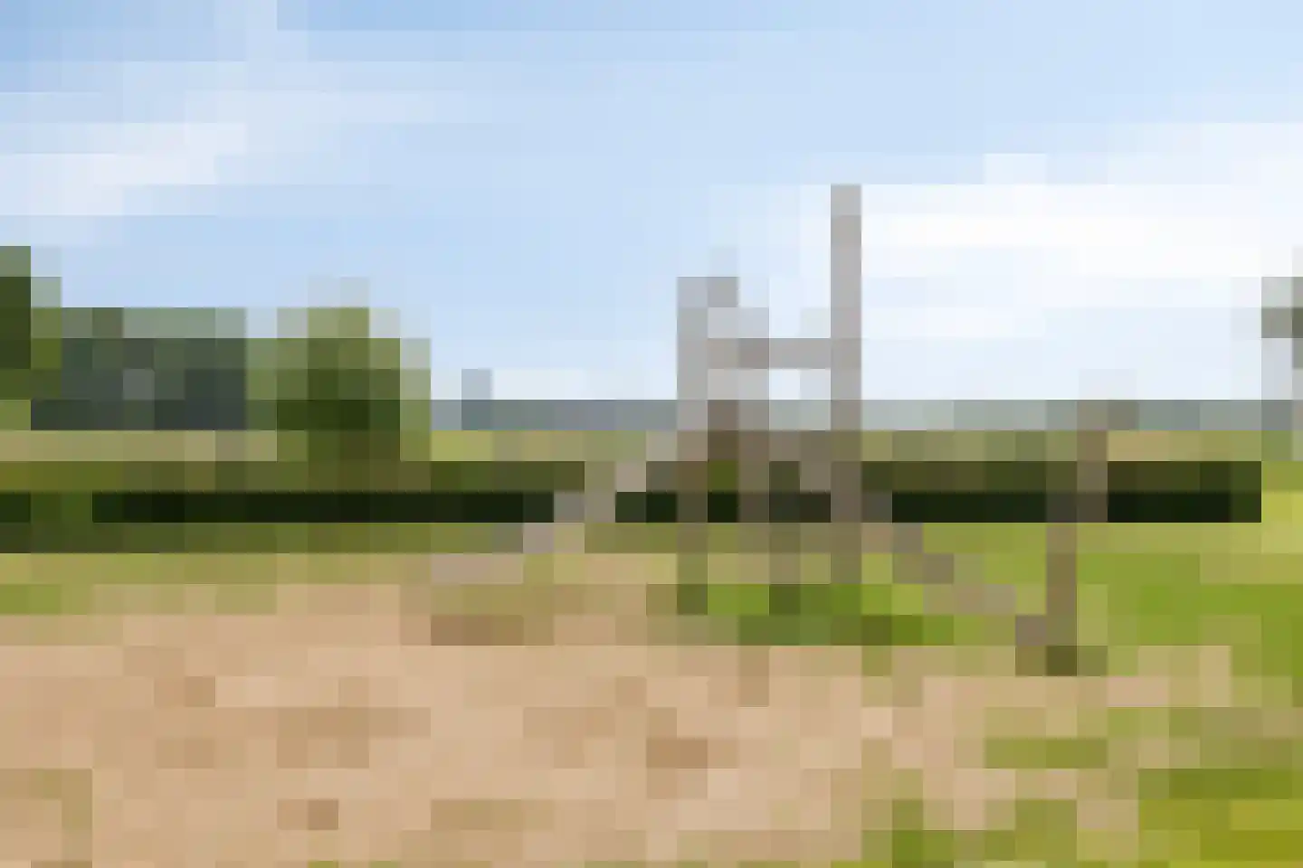 Grasklokje 8 Herveld thumbnail 54