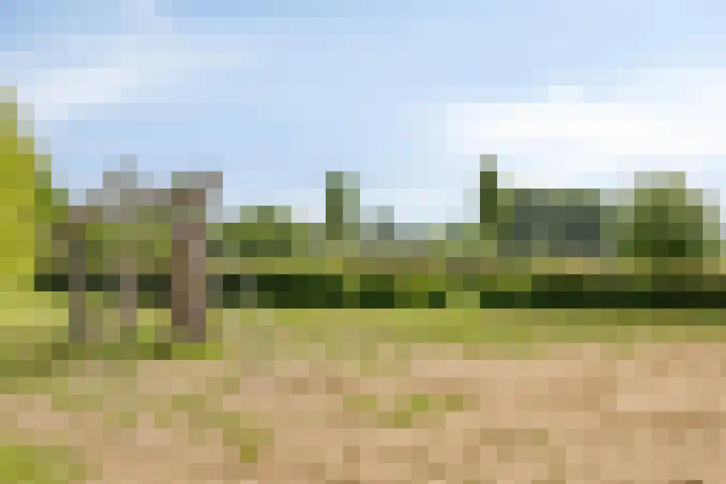Grasklokje 8 Herveld thumbnail 55