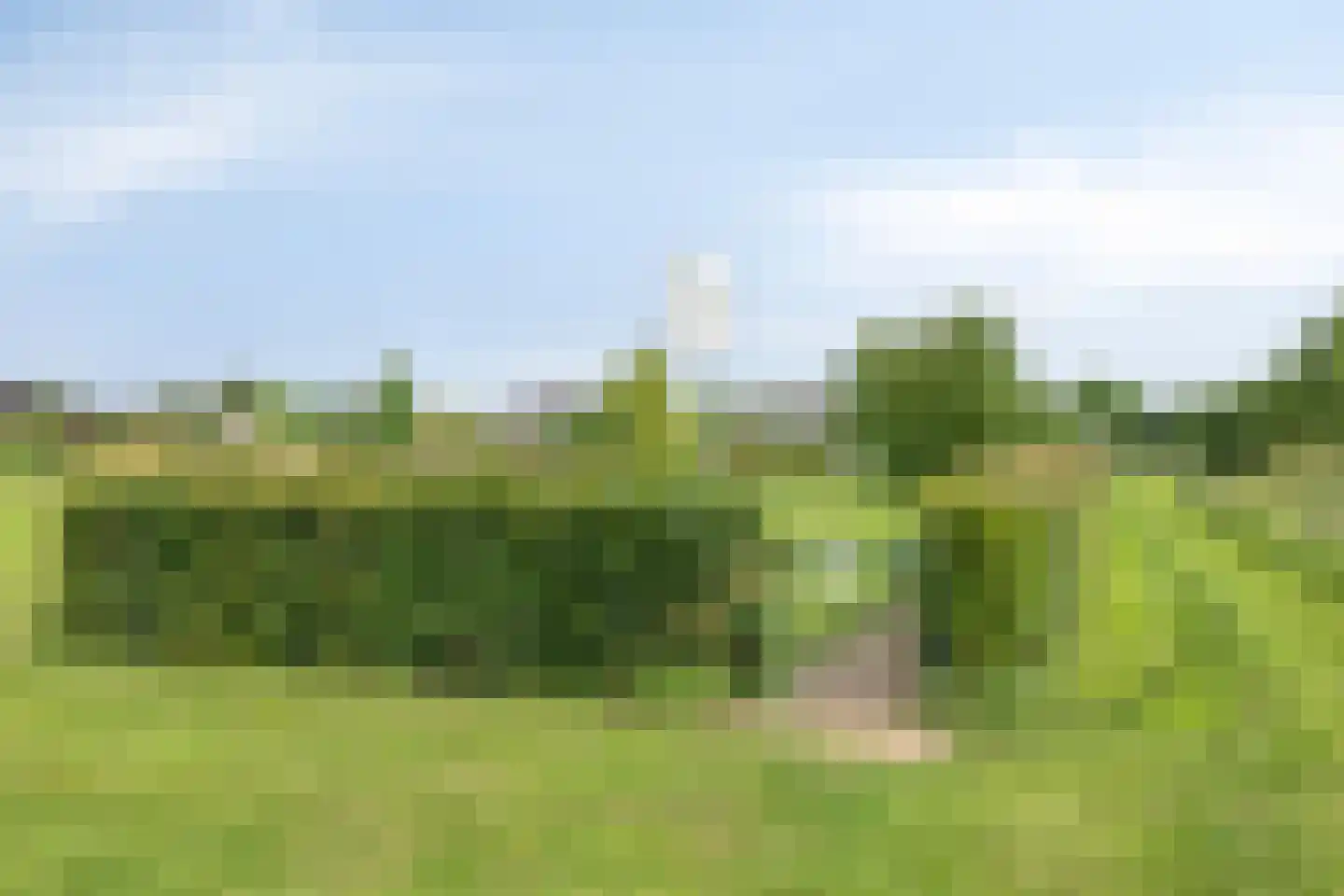 Grasklokje 8 Herveld thumbnail 59