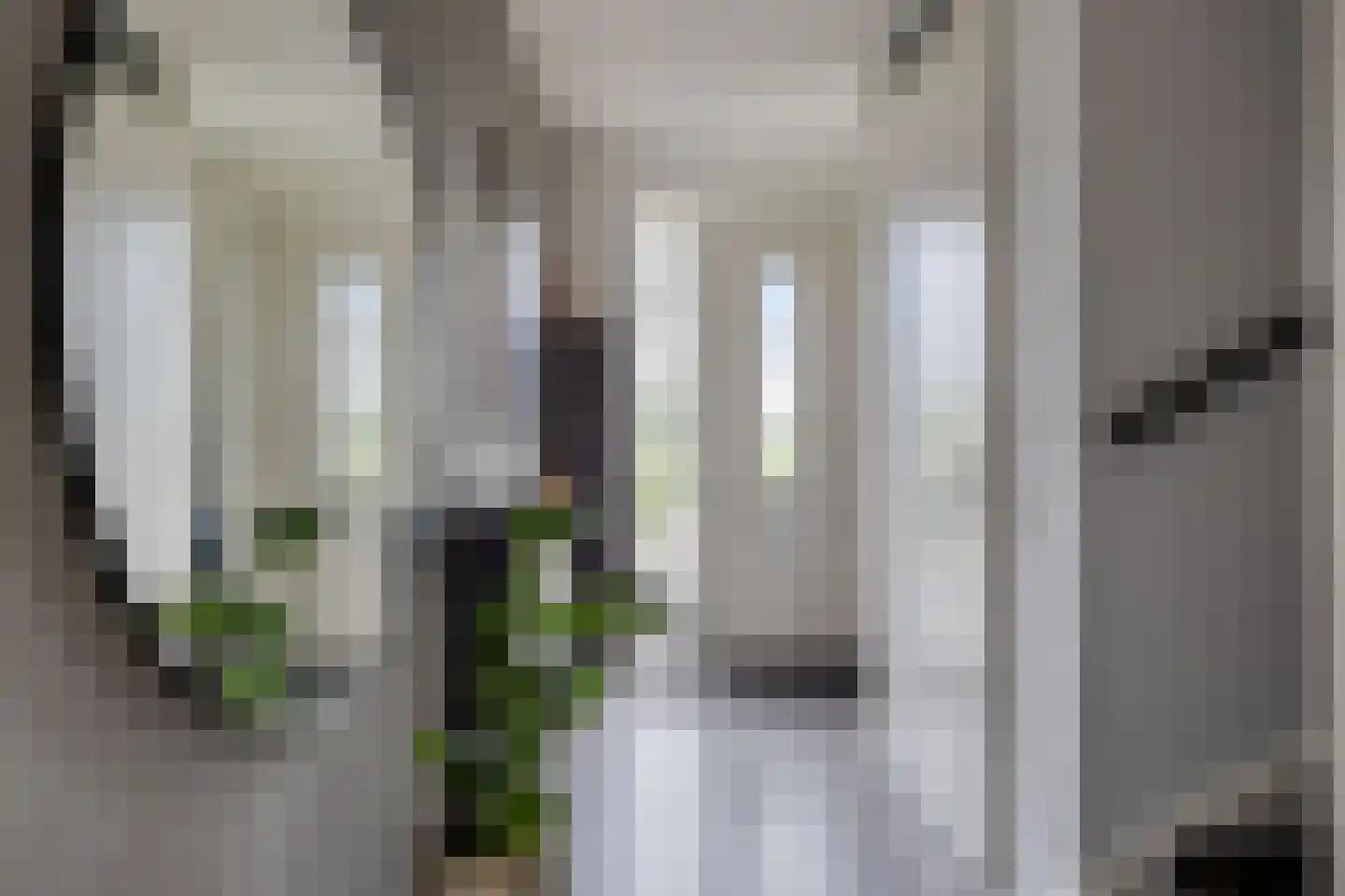 Grasklokje 8 Herveld thumbnail 9