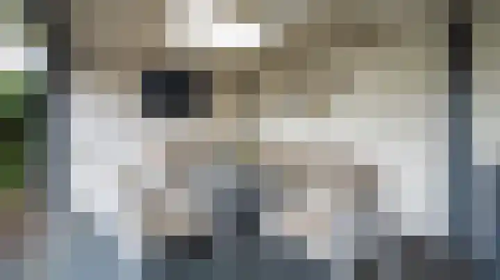 Graskom 11 Almelo thumbnail 33
