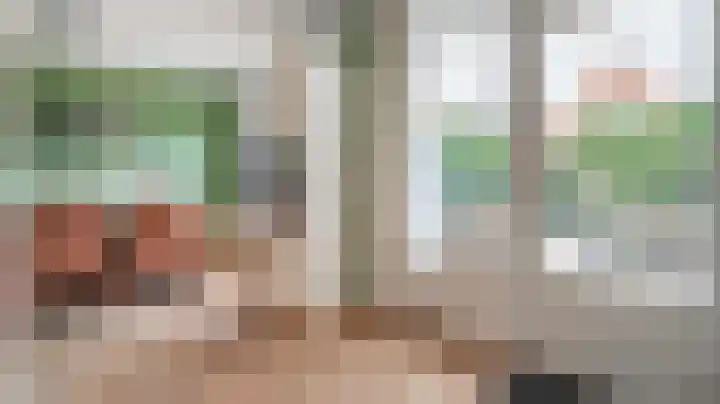 Graskom 11 Almelo thumbnail 9