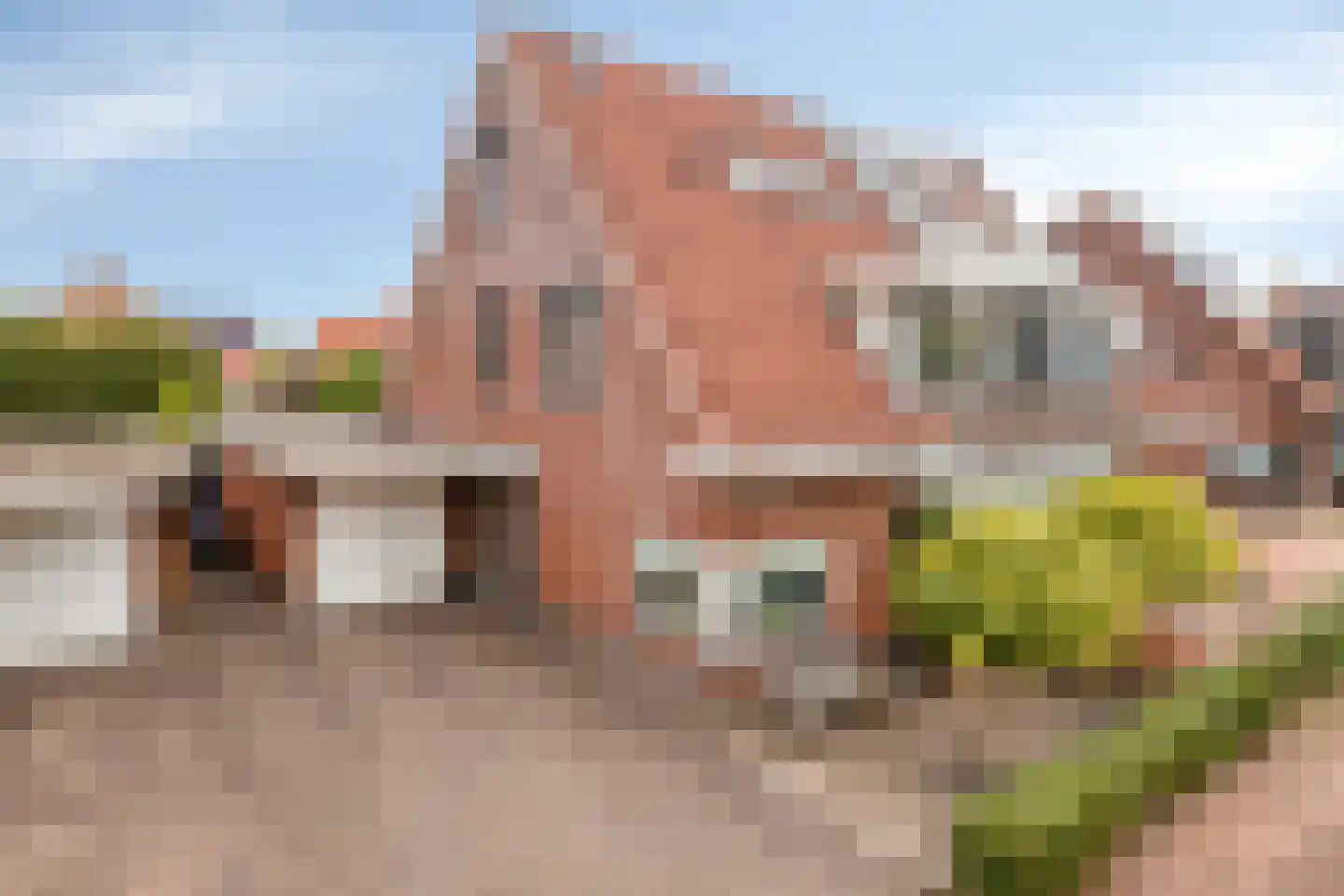 Graskom 5 Almelo