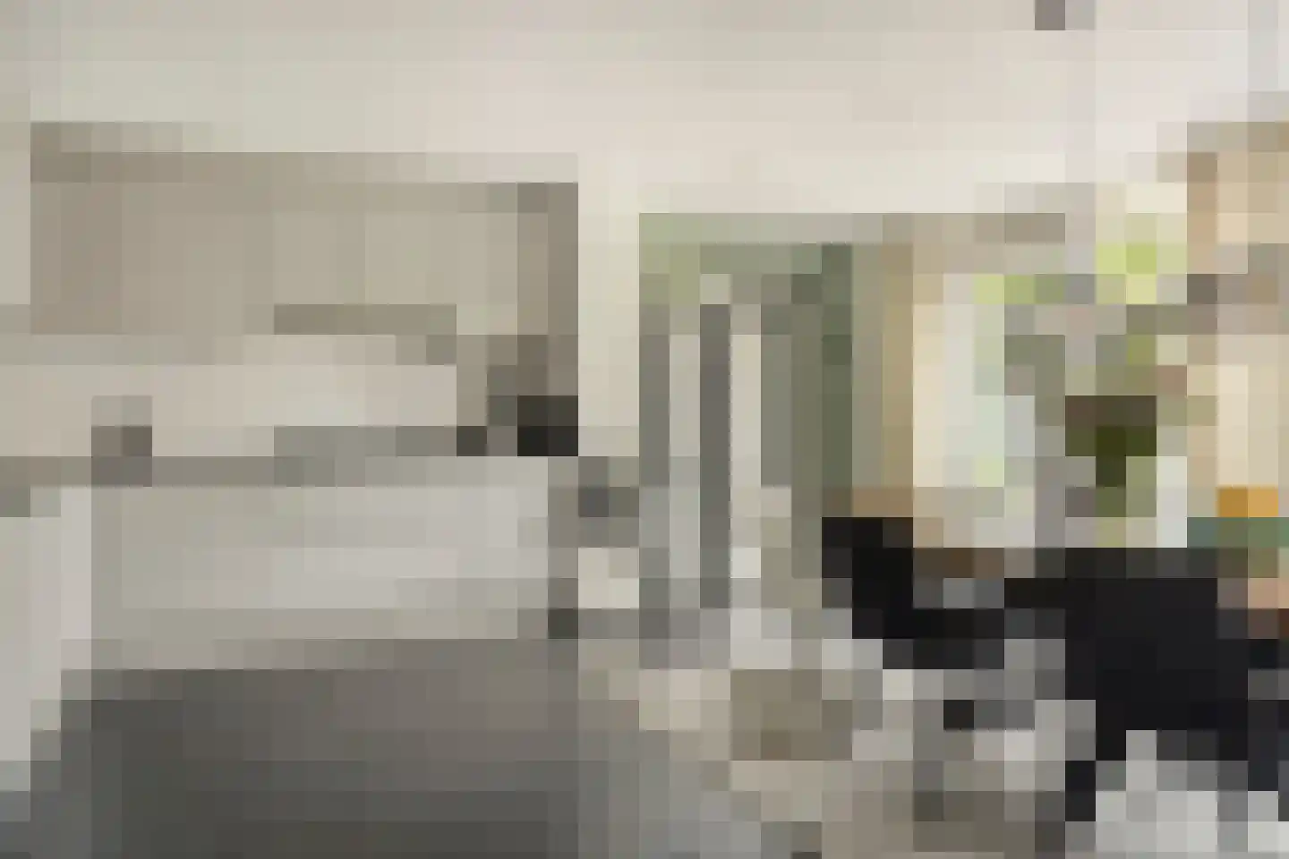 Graskom 5 Almelo thumbnail 10