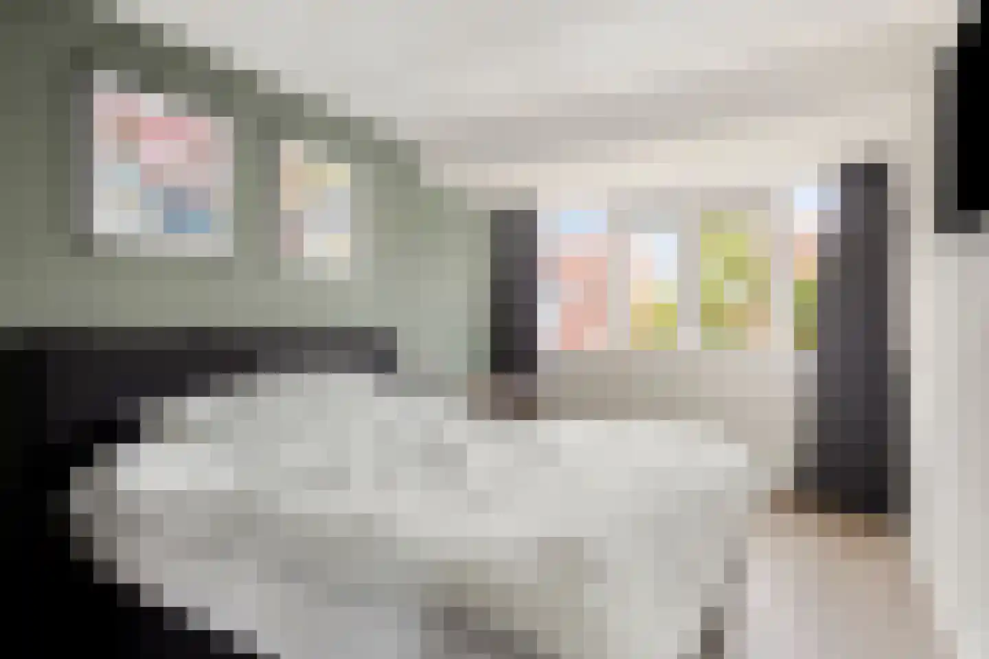 Graskom 5 Almelo thumbnail 15