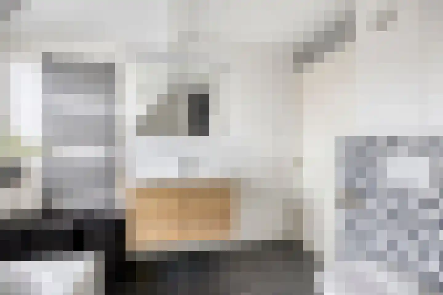Graskom 5 Almelo thumbnail 18