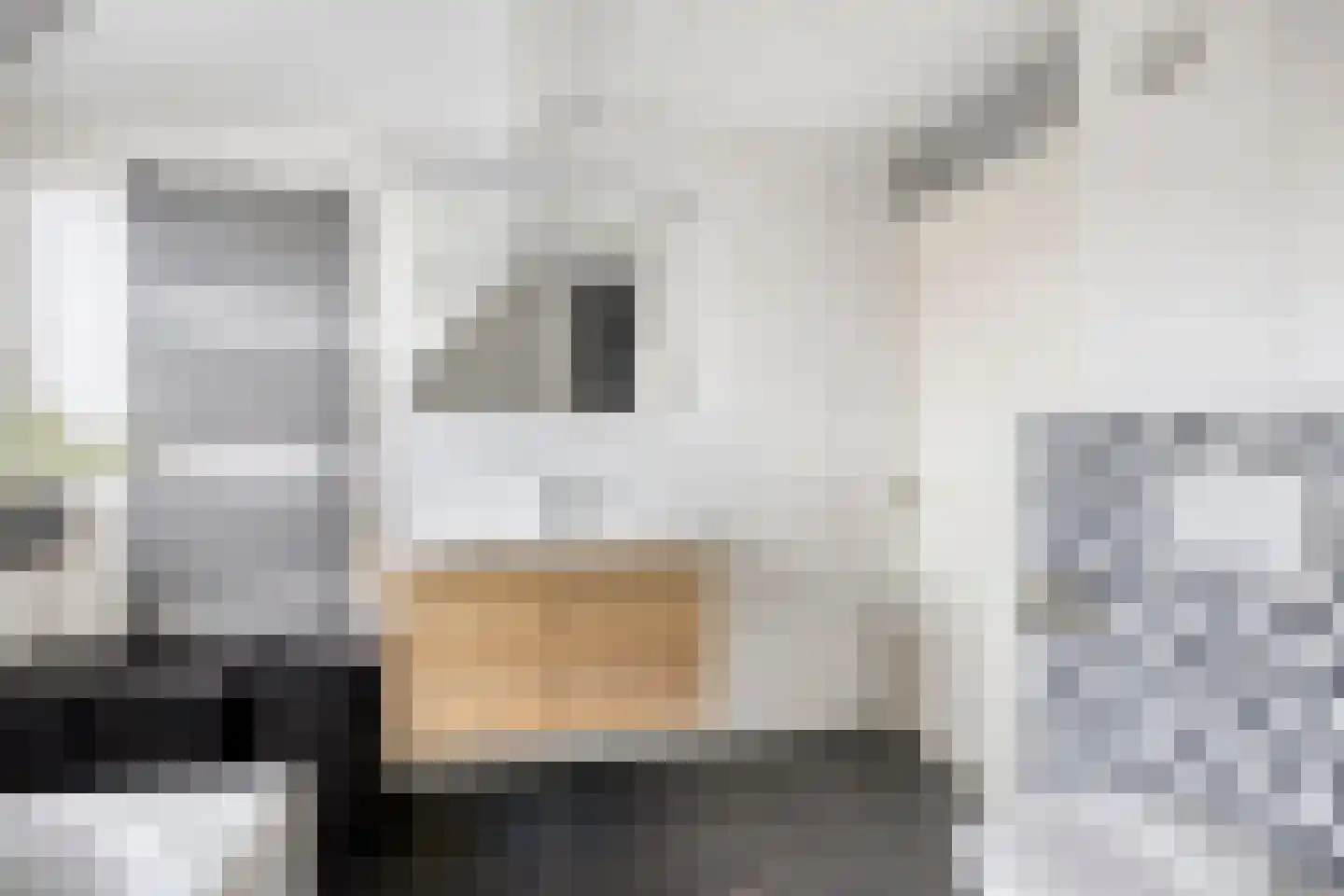 Graskom 5 Almelo thumbnail 18