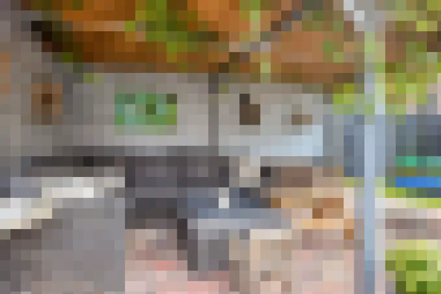 Graskom 5 Almelo thumbnail 22