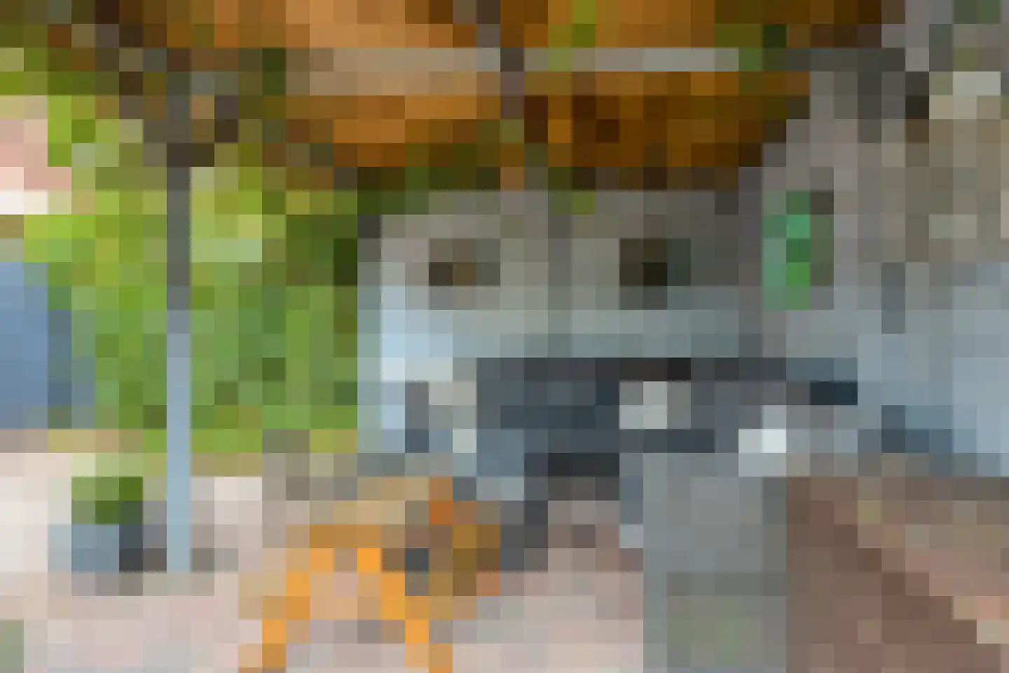 Graskom 5 Almelo thumbnail 29