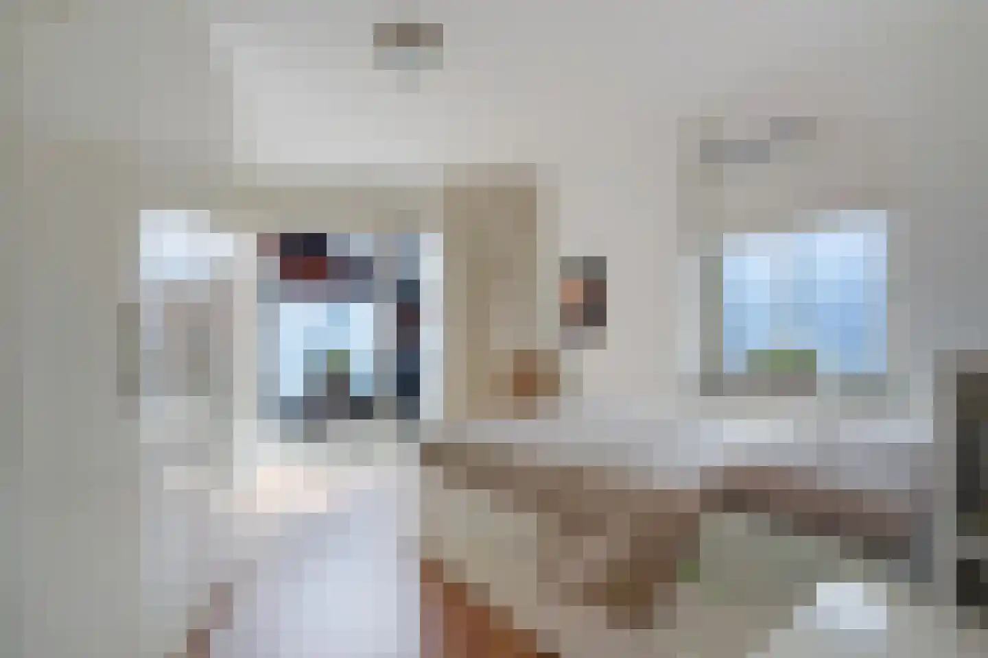 Graskopstraat 8 Den Haag thumbnail 30