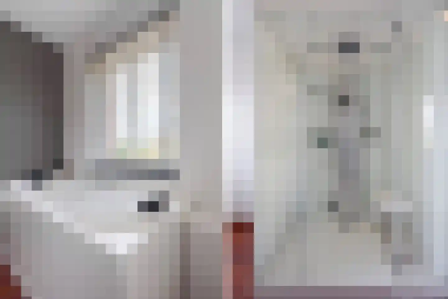 Graskopstraat 8 Den Haag thumbnail 36