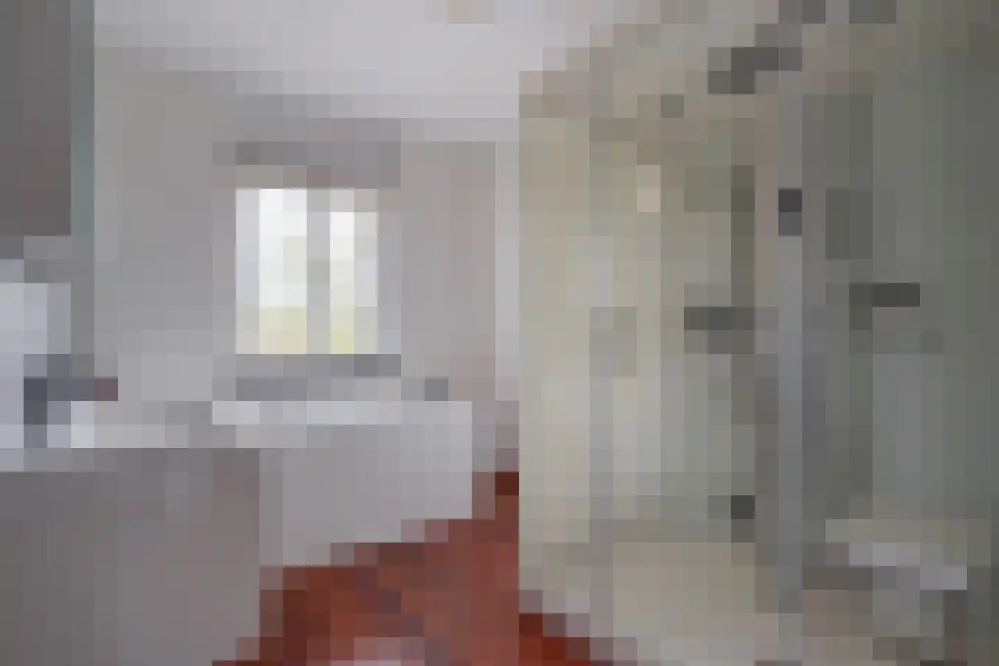 Graskopstraat 8 Den Haag thumbnail 4