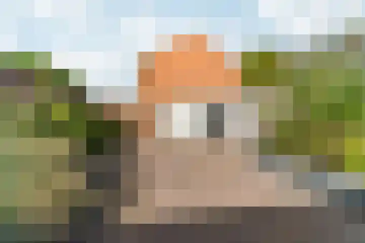 Graslaan 137 Arnhem thumbnail 36