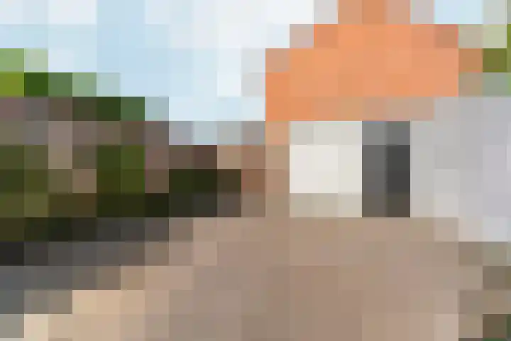 Graslaan 137 Arnhem thumbnail 37