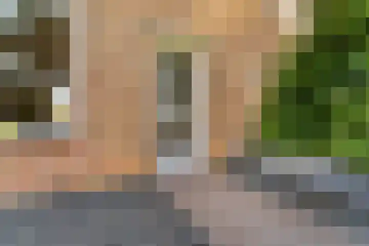 Graslaan 137 Arnhem thumbnail 39
